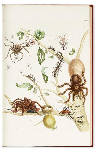 MERIAN, MARIA SIBYLLA. Histoire générale des insectes de Surinam et de toute lEurope. . .